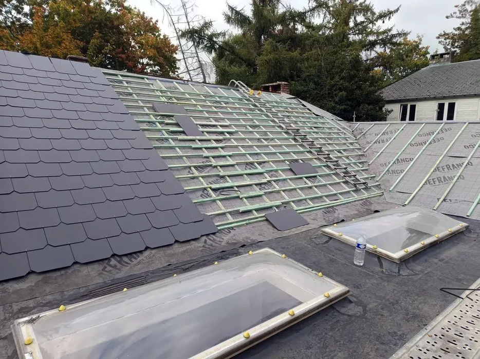 Toiture ancienne en tuiles canal terre cuite avec mousses et végétation