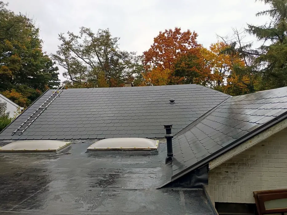 Toiture métallique moderne avec cheminée en acier gris sous ciel nuageux au coucher du soleil, environnement résidentiel boisé